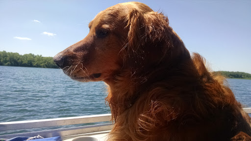 Park «Lake Elmo Park Reserve», reviews and photos, 1515 Keats Ave N, Lake Elmo, MN 55042, USA