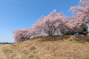 Han-no-Mori Park image