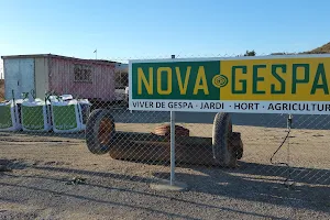 NOVA GESPA Cesped Natural y Artificial Jardineria Lleida image