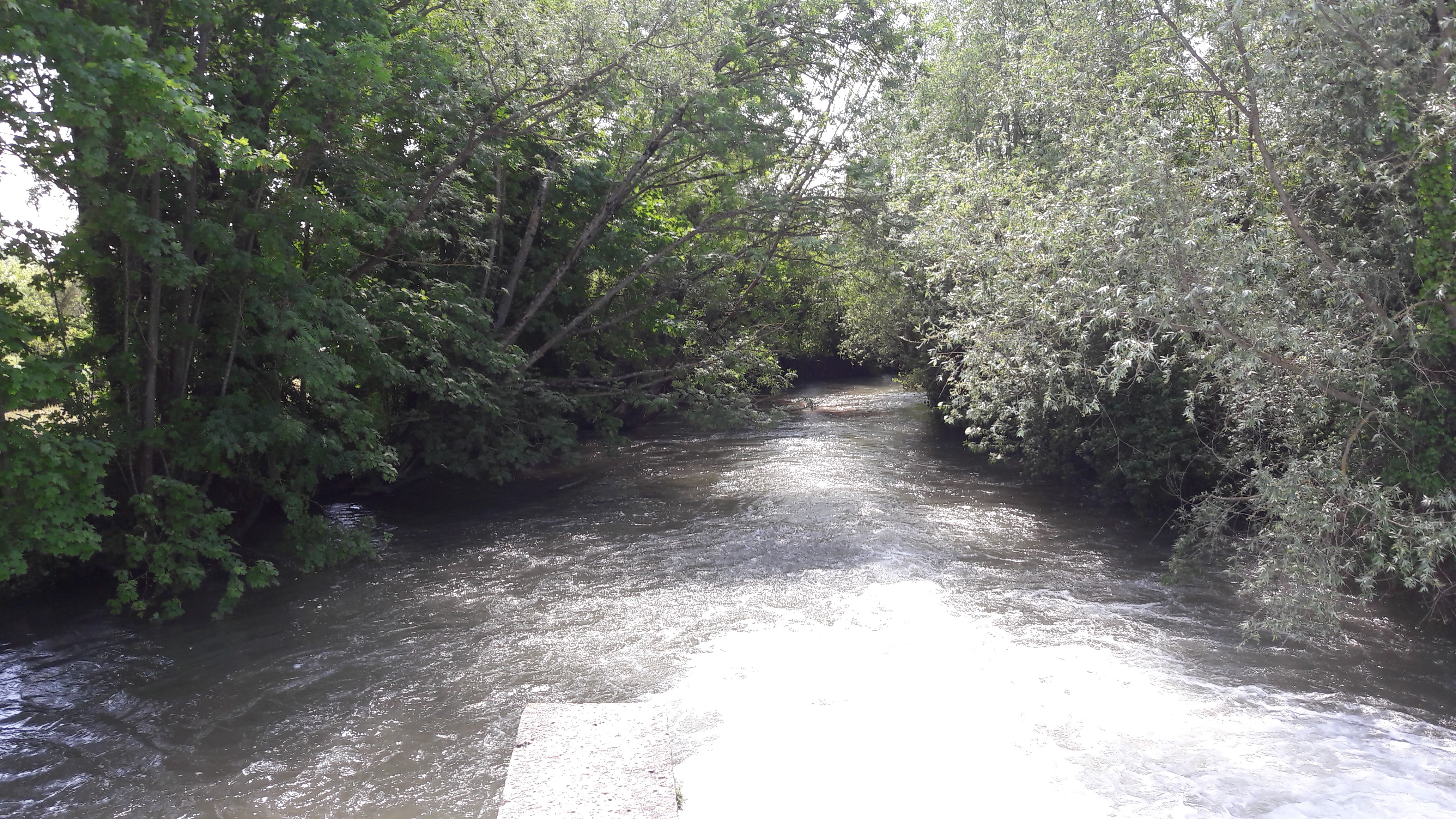 Photo n° 1 de l'avis de jipette.o fait le 20/05/2018 à 14:38