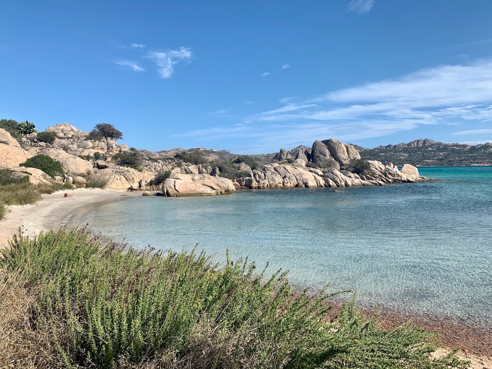 Foto de Sapling beach con arena beige superficie