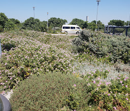 Mitchells Plain Hospital photo