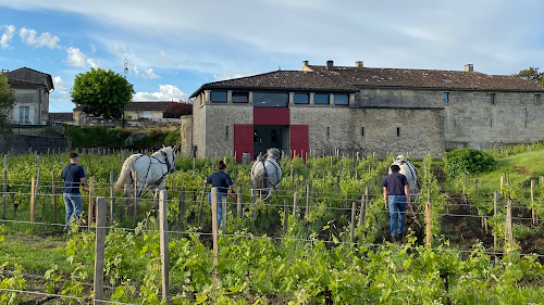 Château Cardinal-Villemaurine à Saint-Émilion