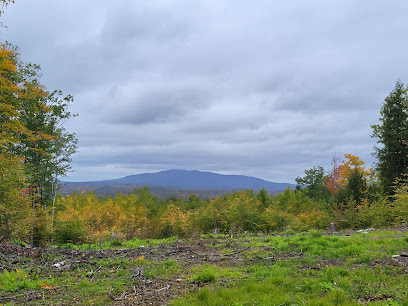 Cranberry Meadow Pond Trail Parking