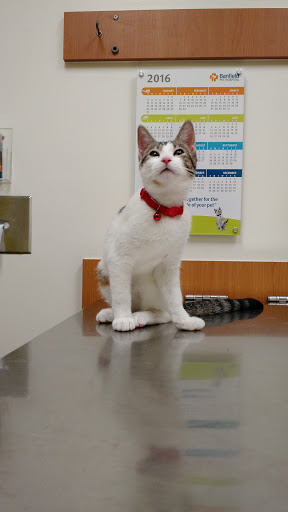 Pet Supply Store «PetSmart», reviews and photos, 2500 Posner Blvd, Davenport, FL 33837, USA