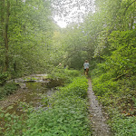 Photo n°12 de l'avis de Tim.o fait le 19/08/2023 à 14:50 sur le  Fettsmühle à Mörsdorf