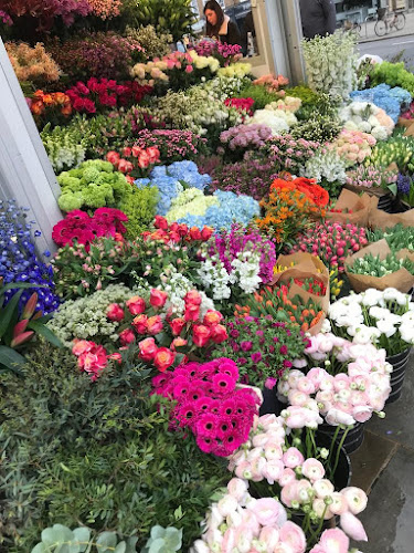 Reviews of The Flower Stand Chelsea in London - Florist