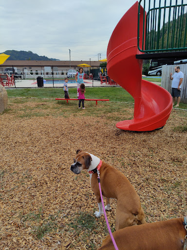 Pet Supply Store «Petco Animal Supplies», reviews and photos, 2807 Wilma Rudolph Blvd, Clarksville, TN 37040, USA