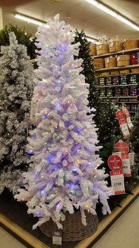 Craft Store «Hobby Lobby», reviews and photos, 1113 Murfreesboro Rd #350, Franklin, TN 37064, USA