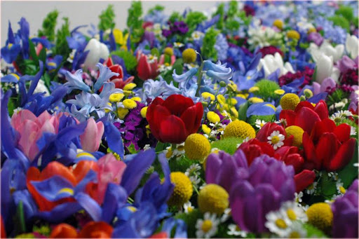 Florist «Platte Floral», reviews and photos, 1417 E Platte Ave, Colorado Springs, CO 80909, USA