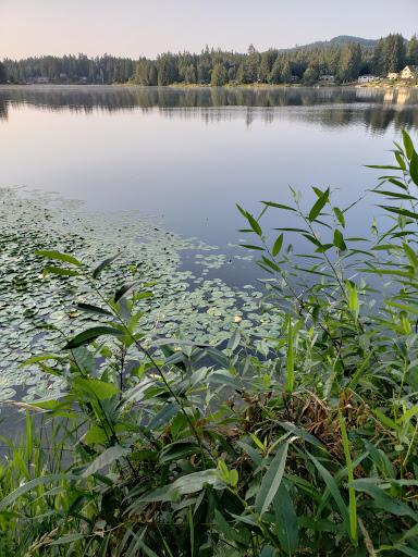 Park «Wildcat Lake County Park», reviews and photos, 9205 NW Holly Rd, Bremerton, WA 98312, USA