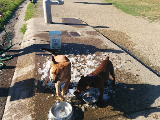 Dog Park «Marco Dog Park», reviews and photos, 1800 Sierra Gardens Dr, Roseville, CA 95661, USA