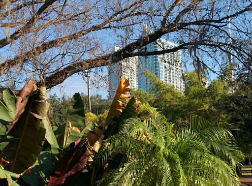 Museum «Henry B. Plant Museum», reviews and photos, 401 W Kennedy Blvd, Tampa, FL 33606, USA