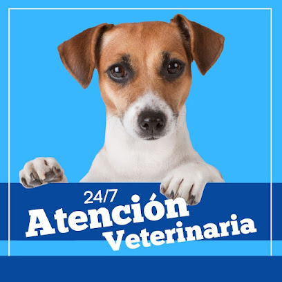 Hospital / Clinica Veterinaria Animaland