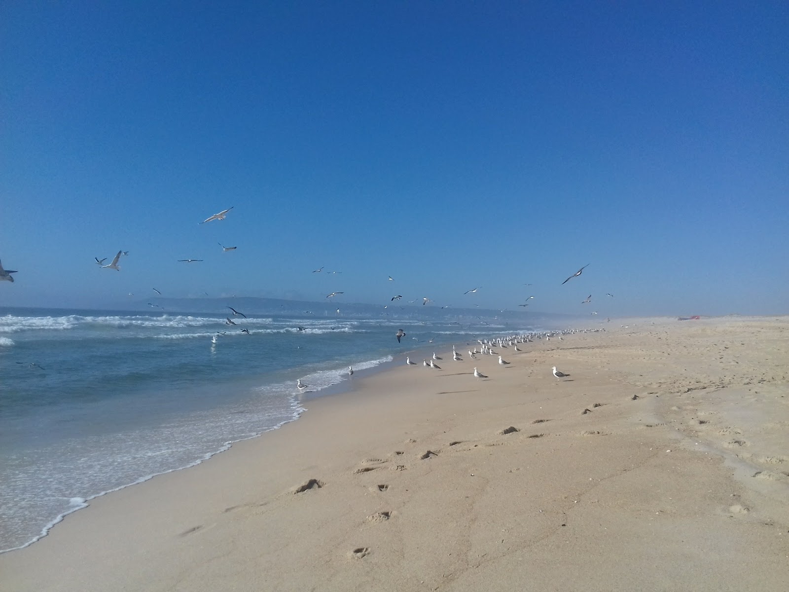 Praia da Costa de Lavos photo #7