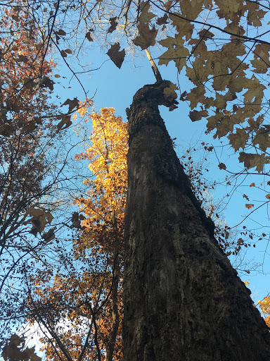 Nature Preserve «Lowry Nature Center», reviews and photos, 7025 Victoria Dr, Victoria, MN 55386, USA