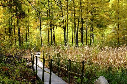 Park «Theodore Wirth Regional Park», reviews and photos, 1339 Theodore Wirth Pkwy, Golden Valley, MN 55422, USA