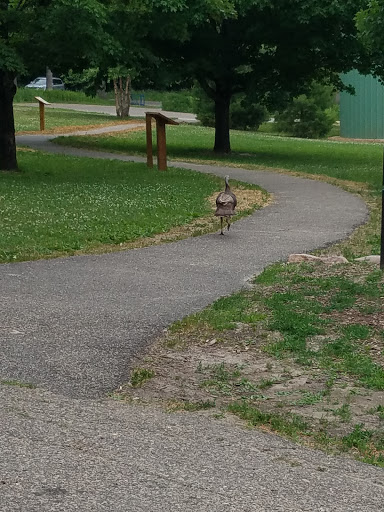 Non-Profit Organization «Aldo Leopold Nature Center», reviews and photos, 330 Femrite Dr, Madison, WI 53716, USA