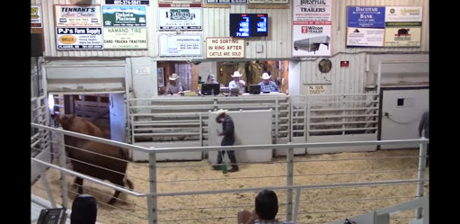 Lemmon Livestock Inc