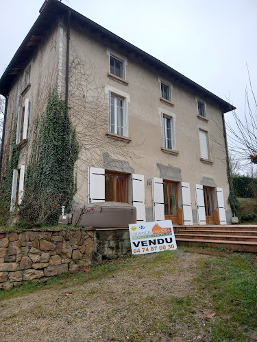 Agence immobilière L'Immobilier d'Antoine Vienne à Vienne