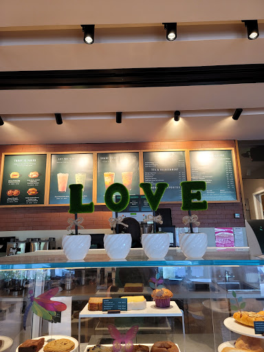 Coffee Shop «Starbucks», reviews and photos, 8104 Arlington Blvd, Falls Church, VA 22042, USA