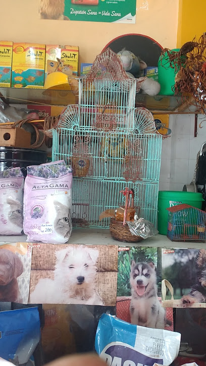 Pet Shop Morena