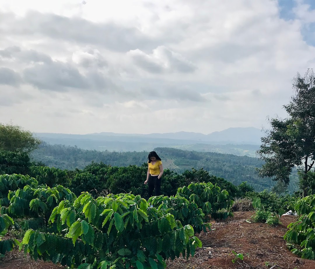 Luu Dung Farm