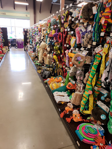 Pet Supply Store «Premier Pet Supply», reviews and photos, 63 W Auburn Rd, Rochester Hills, MI 48307, USA