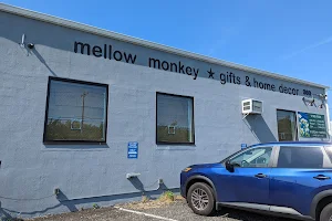 Mellow Monkey image