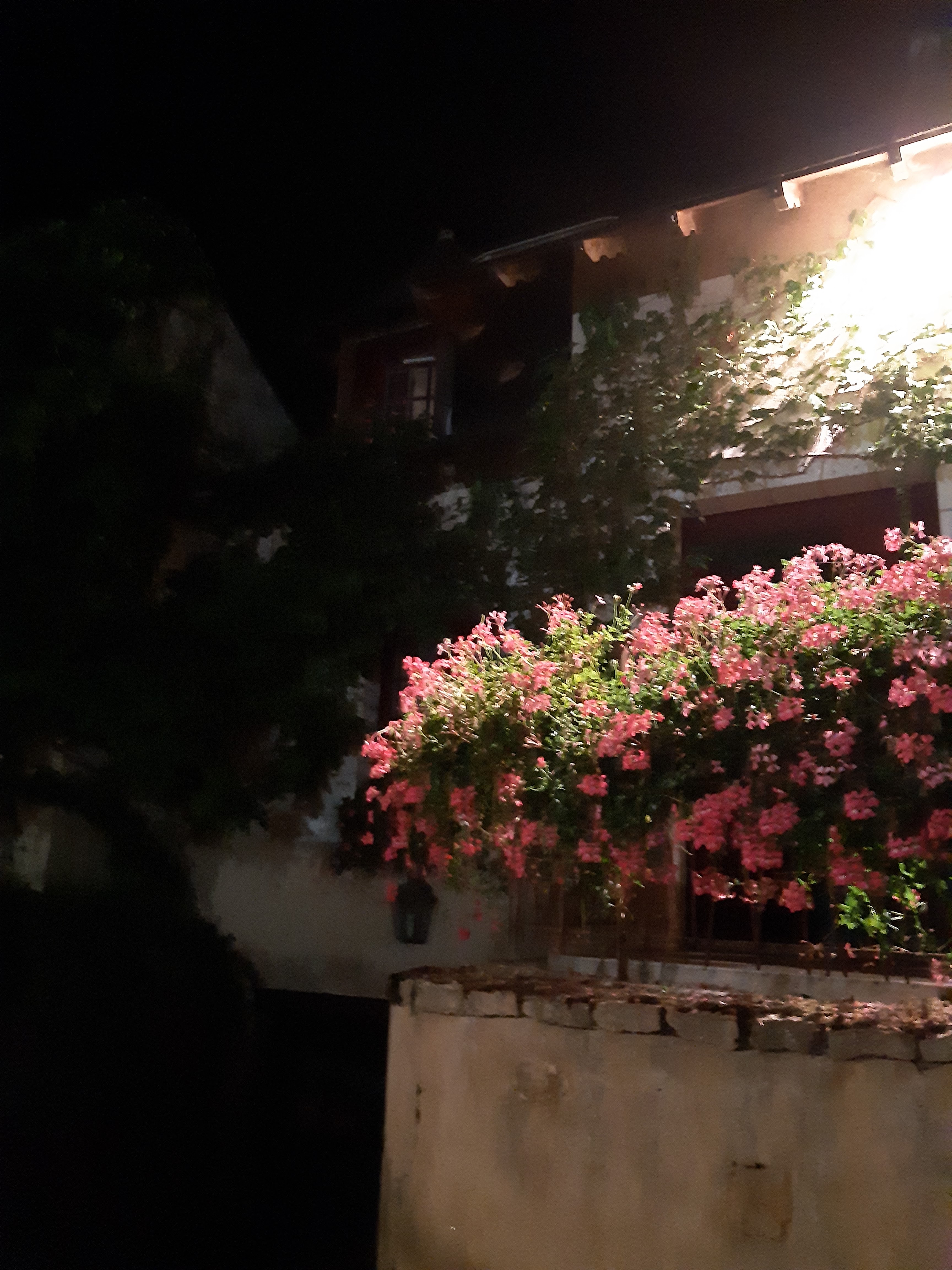 Photo n° 2 de l'avis de mariethe.e fait le 28/09/2019 à 21:00