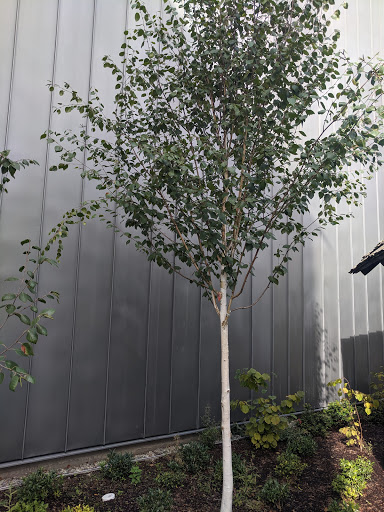 Museum «Nordic Heritage Museum», reviews and photos, 3014 NW 67th St, Seattle, WA 98117, USA