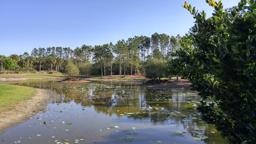 Golf Course «Royal St. Cloud Golf Links», reviews and photos, 5310 Michigan Ave, St Cloud, FL 34769, USA
