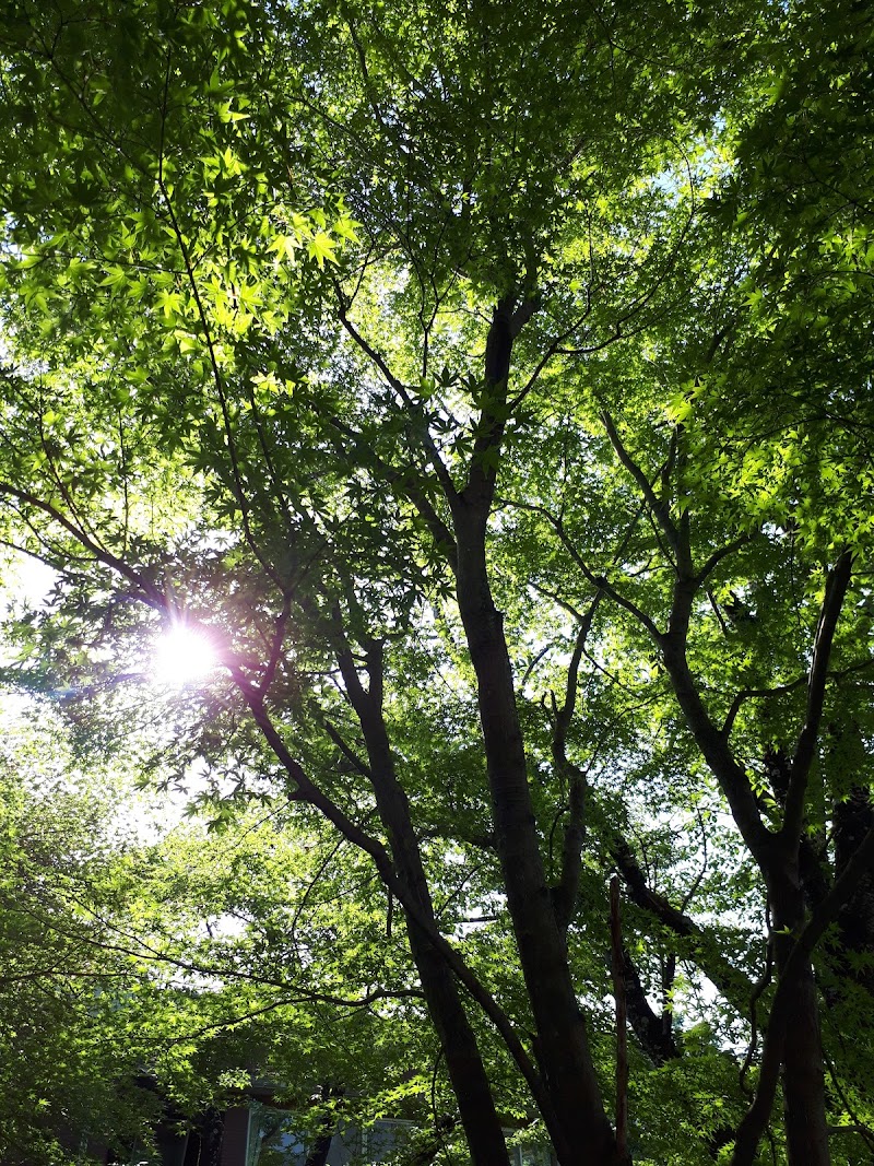 山梨県立北病院