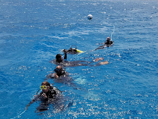 Island Divers Hawaii