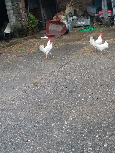 Produce Market «Solly Brothers», reviews and photos, 707 Almshouse Rd, Warminster, PA 18974, USA