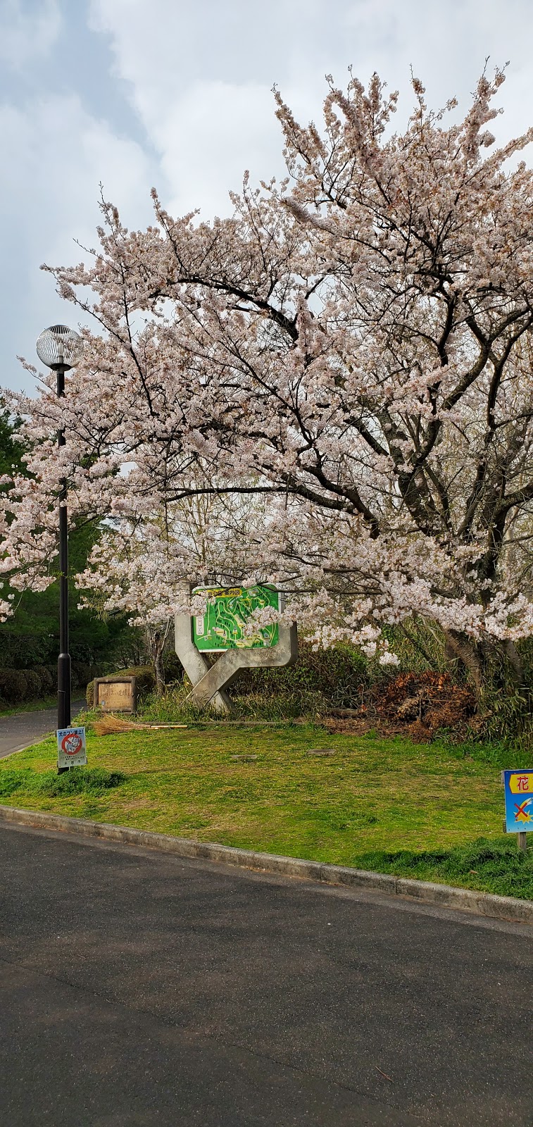 一の谷公園 東側駐車場