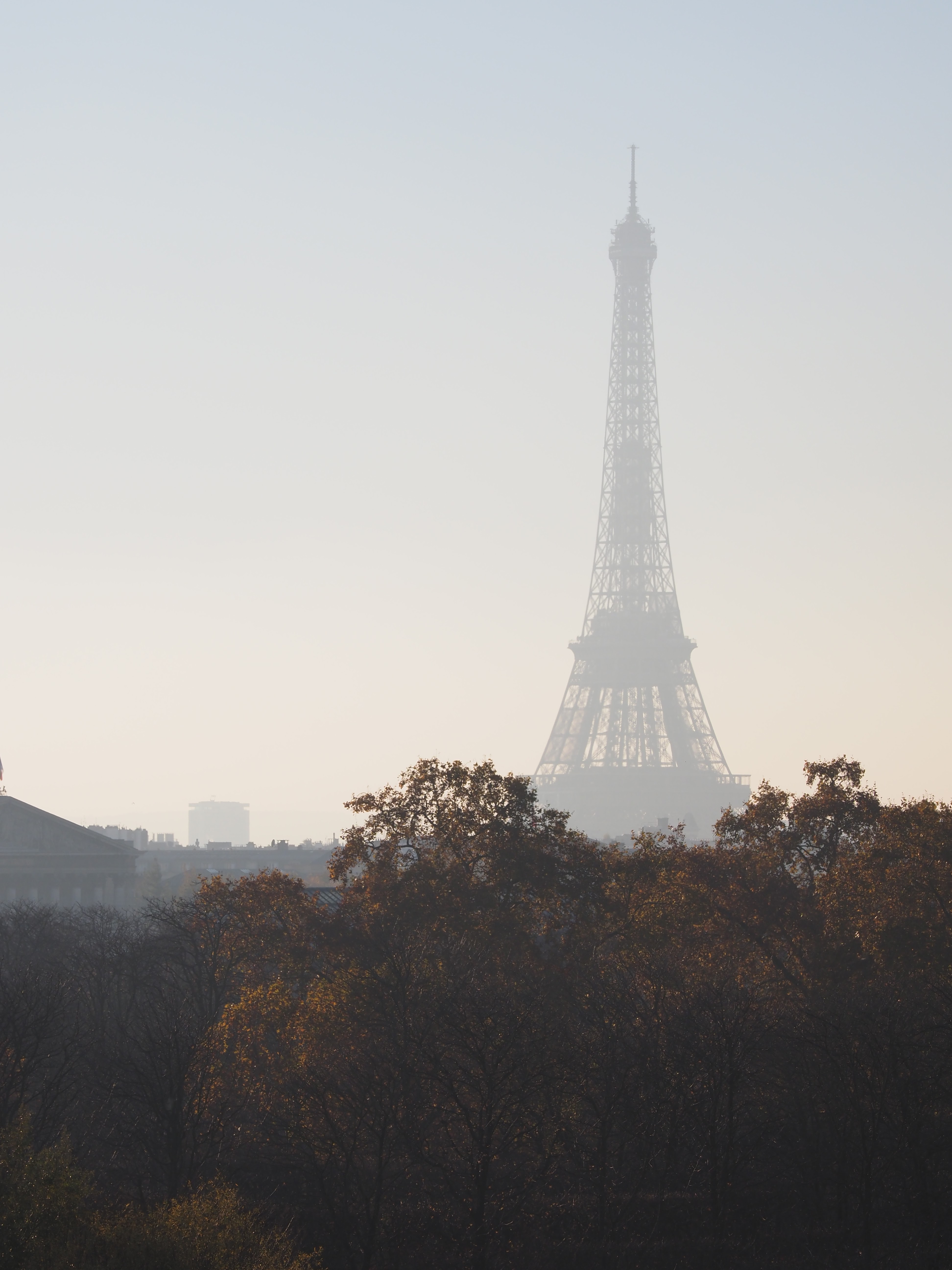 Photo n° 5 de l'avis de André.a fait le 13/11/2021 à 12:09