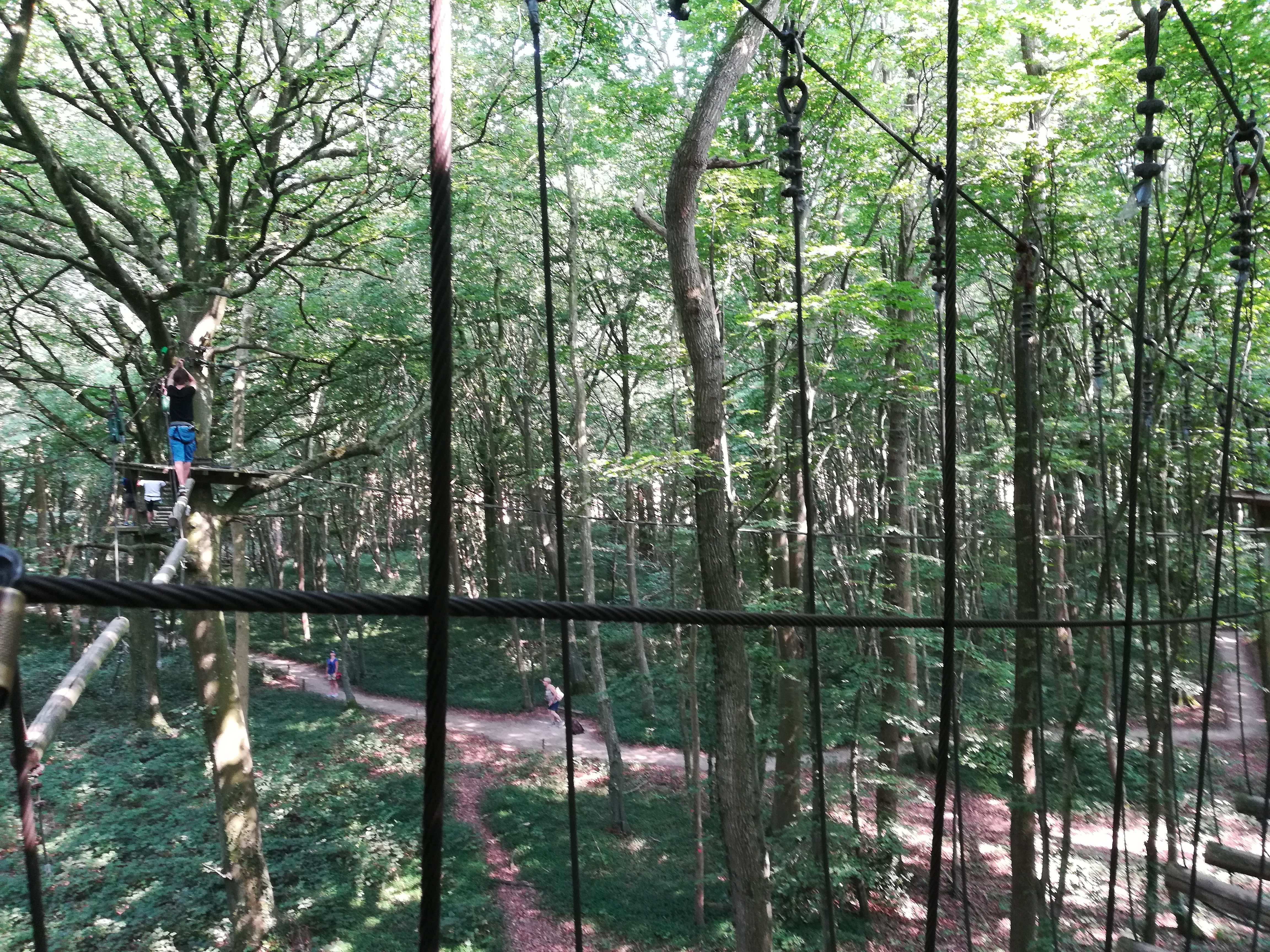 Photo n° 1 de l'avis de Hugo.U fait le 31/07/2018 à 14:23