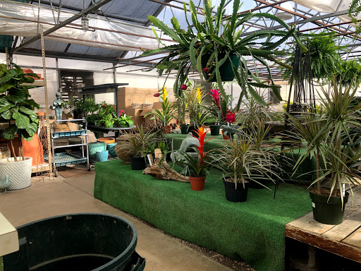 Florist «Platte Floral», reviews and photos, 1417 E Platte Ave, Colorado Springs, CO 80909, USA