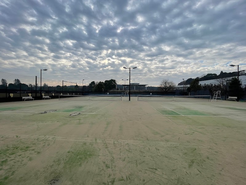 さんぶの森ふれあい公園テニスコート