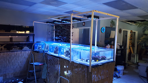 Tropical Fish Store «Saltwater Island», reviews and photos, 15214 Manchester Rd, Ballwin, MO 63011, USA