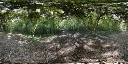 Disc Golf Course «Woodland Park Disc Golf Course - Columbia, TN», reviews and photos, 821 W 9th St, Columbia, TN 38401, USA