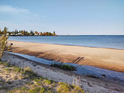 Eagle Harbor Beach'in fotoğrafı vahşi alan