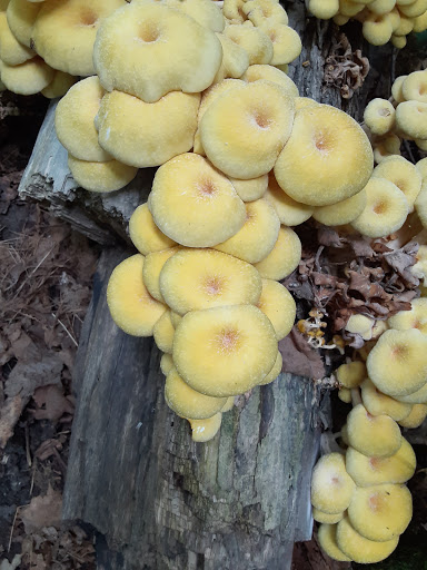 Nature Preserve «Lowry Nature Center», reviews and photos, 7025 Victoria Dr, Victoria, MN 55386, USA