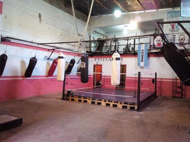 Opiniones de Gimnasio Casado Boxing Club en Ciudad del Plata - Gimnasio