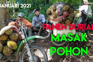 Durian Slumbung Pak Priyanto Bergaransi image