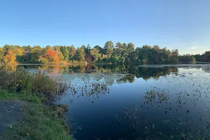 Carver Pond image