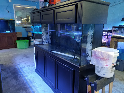 Fish Store «The Reef Room LLC», reviews and photos, 1a Lyliston Ln, Newport News, VA 23601, USA