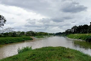 Perak River image
