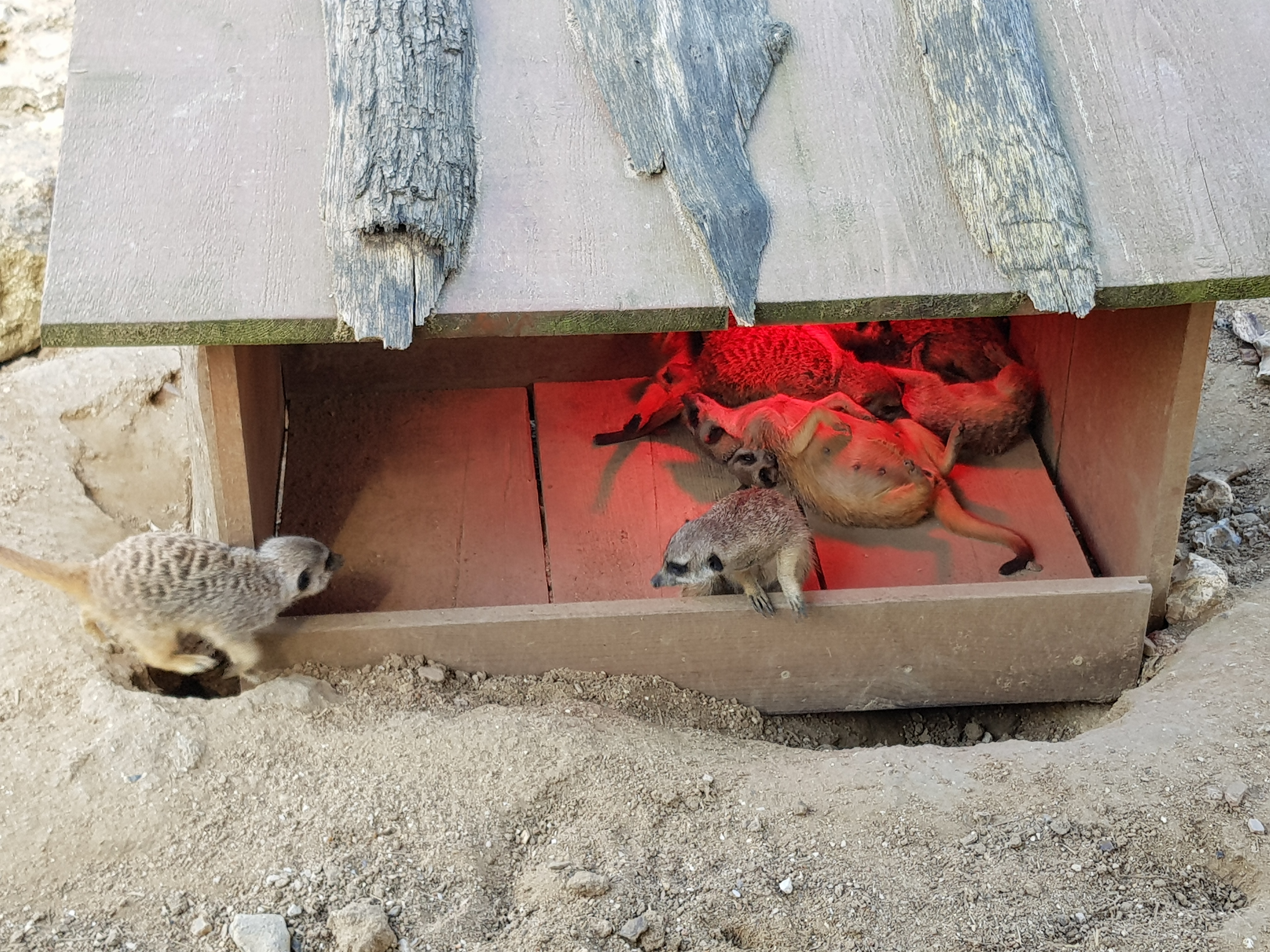 Photo n° 5 de l'avis de Tristan.u fait le 10/05/2018 à 07:04